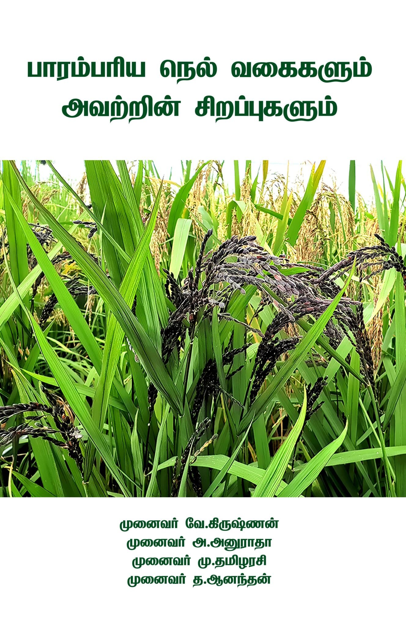 பாரம்பரிய நெல் வகை